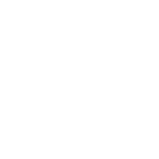 Partner icon